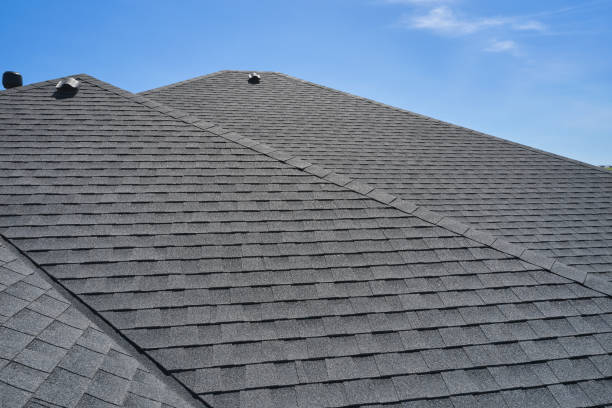 Best Roof Moss and Algae Removal  in Ragland, AL